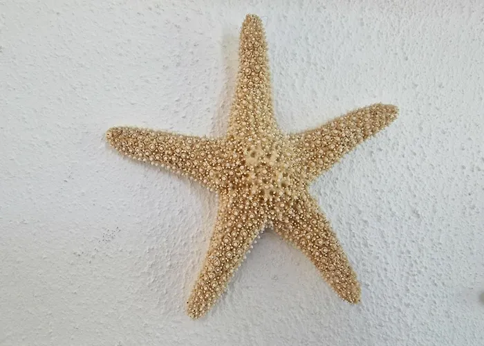 Vakantiehuis Fiiwfut Hues *